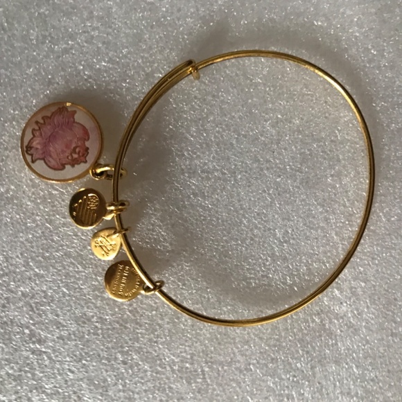 Alex and Ani Expandable Wire Bracelet - Picture 8 of 12